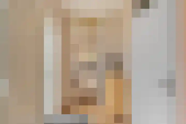 De Vroedschap 38 Krimpen aan den IJssel thumbnail 11