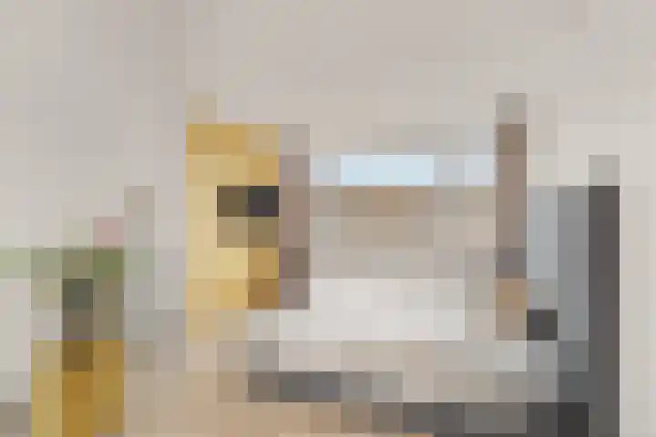 De Vroedschap 38 Krimpen aan den IJssel thumbnail 23