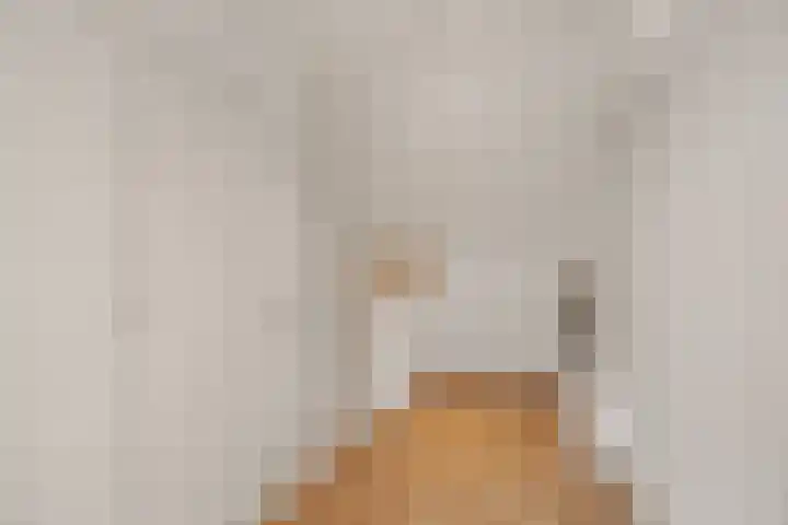 De Vroedschap 38 Krimpen aan den IJssel thumbnail 27