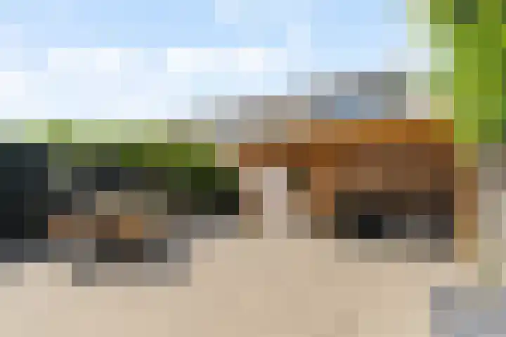 De Vroedschap 38 Krimpen aan den IJssel thumbnail 28