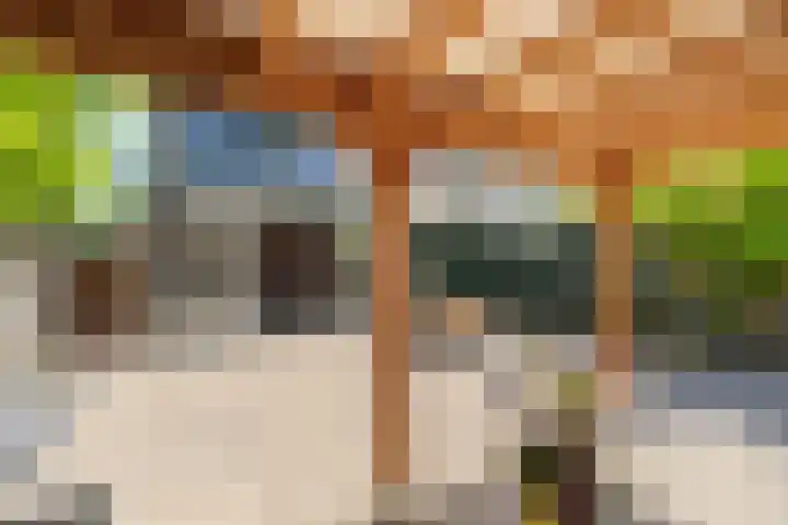 De Vroedschap 38 Krimpen aan den IJssel thumbnail 30