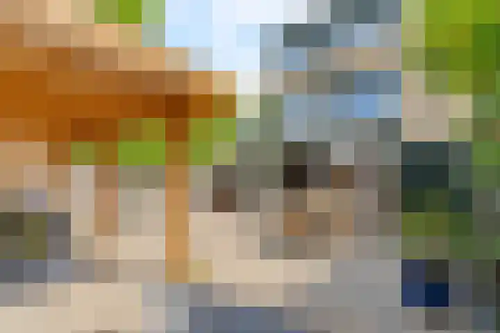 De Vroedschap 38 Krimpen aan den IJssel thumbnail 31