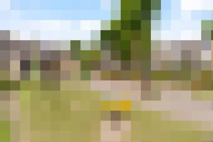 De Vroedschap 38 Krimpen aan den IJssel thumbnail 35