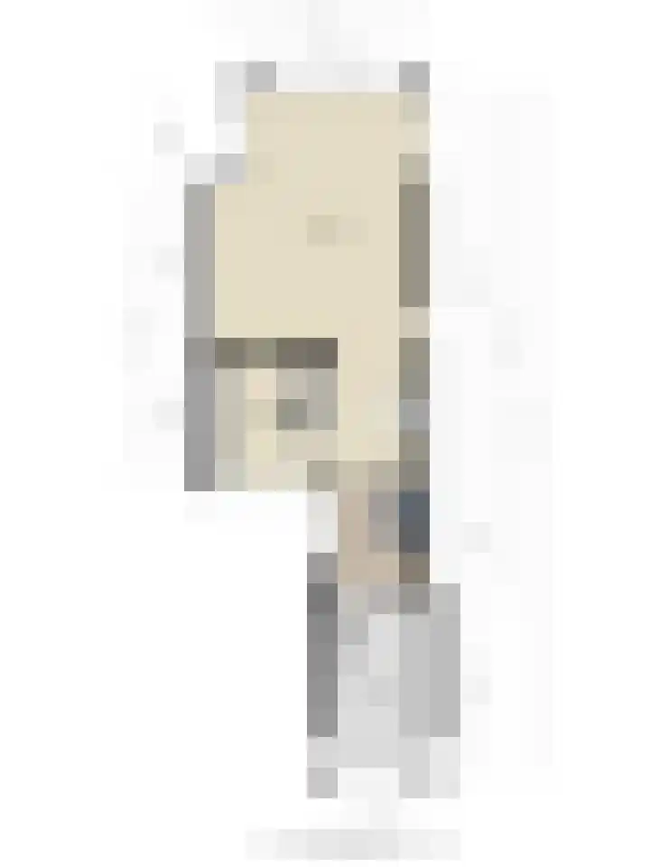 De Vroedschap 38 Krimpen aan den IJssel thumbnail 36