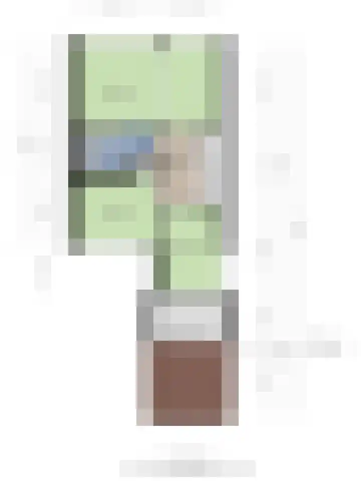 De Vroedschap 38 Krimpen aan den IJssel thumbnail 37