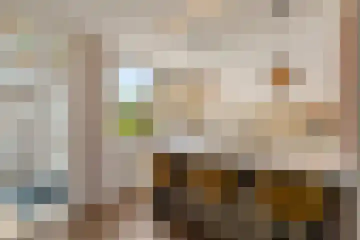 De Vroedschap 38 Krimpen aan den IJssel thumbnail 5