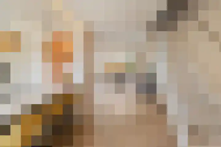 De Vroedschap 38 Krimpen aan den IJssel thumbnail 6