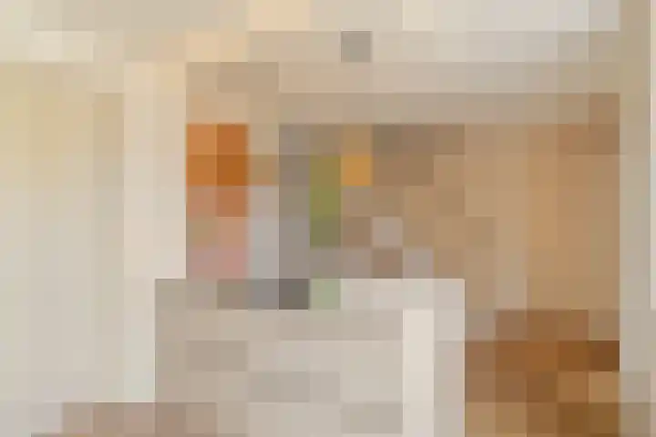 De Vroedschap 38 Krimpen aan den IJssel thumbnail 8