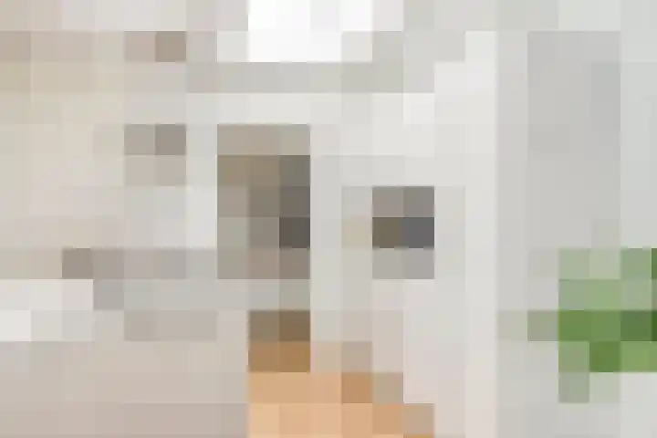De Vroente 128 Nuenen thumbnail 15