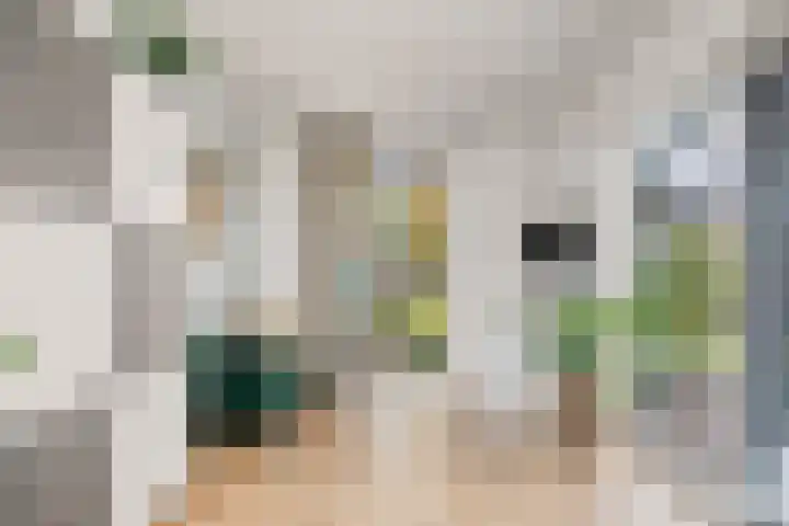 De Vroente 128 Nuenen thumbnail 16