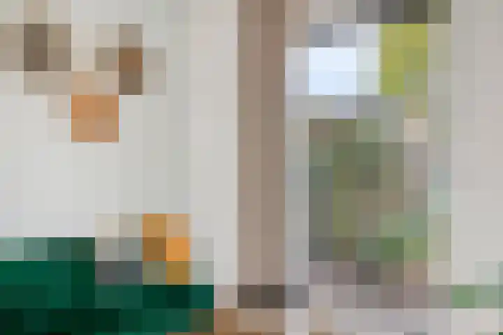 De Vroente 128 Nuenen thumbnail 17