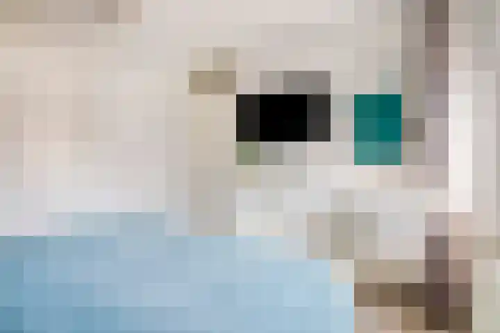 De Vroente 128 Nuenen thumbnail 22