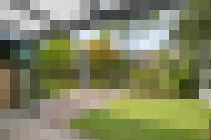 De Vroente 128 Nuenen thumbnail 33