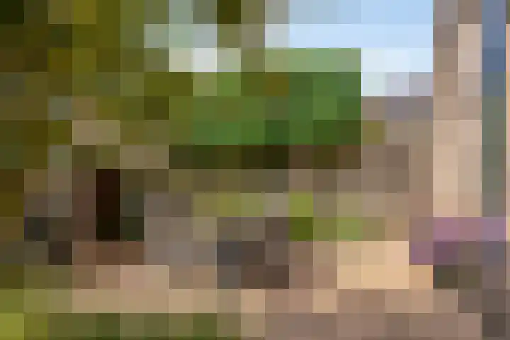 De Vroente 128 Nuenen thumbnail 36
