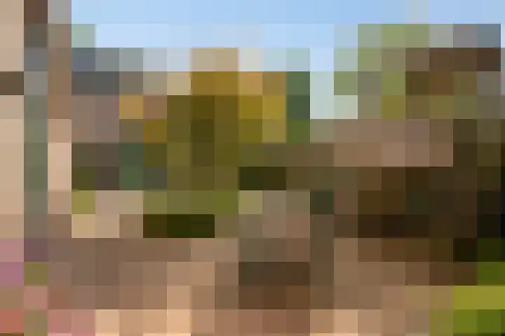 De Vroente 128 Nuenen thumbnail 37