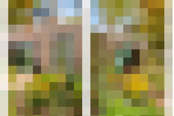 De Vroente 128 Nuenen thumbnail 38