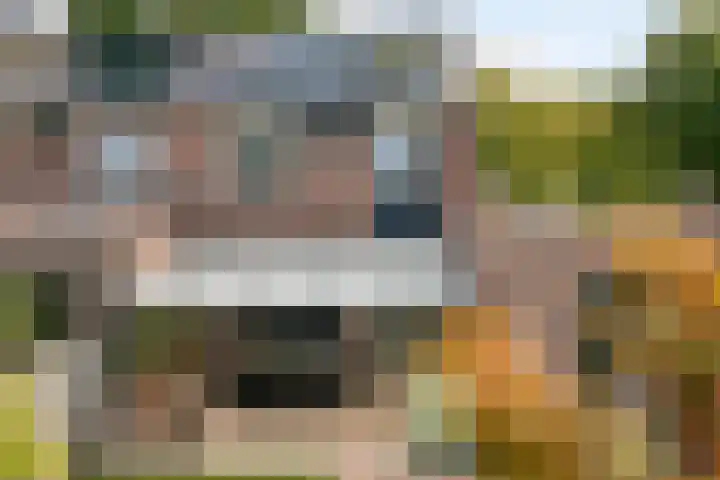 De Vroente 128 Nuenen thumbnail 39