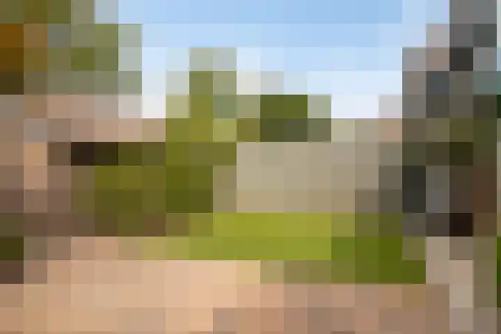 De Vroente 128 Nuenen thumbnail 40