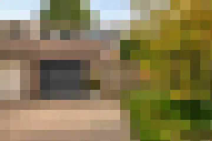 De Vroente 128 Nuenen thumbnail 42