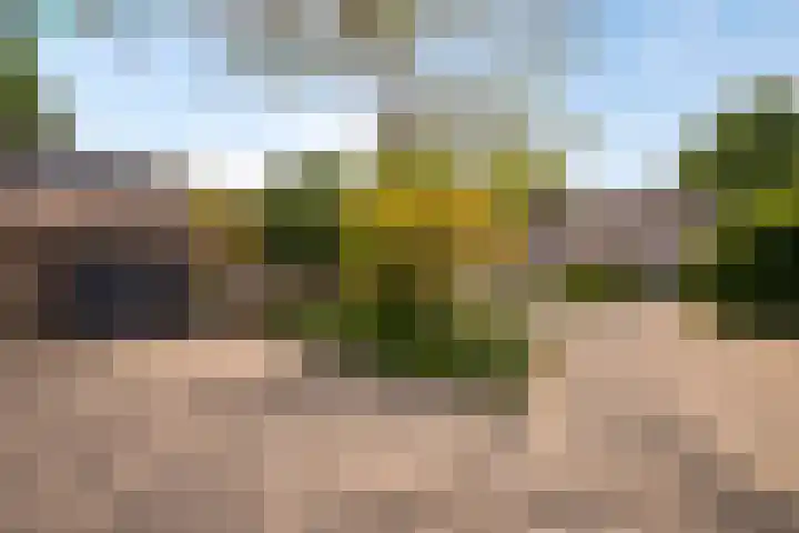 De Vroente 128 Nuenen thumbnail 44