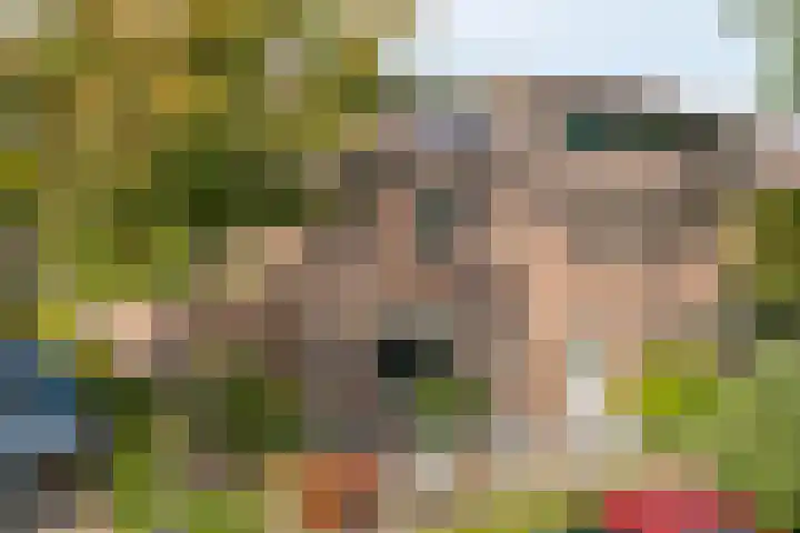 De Vroente 128 Nuenen thumbnail 45