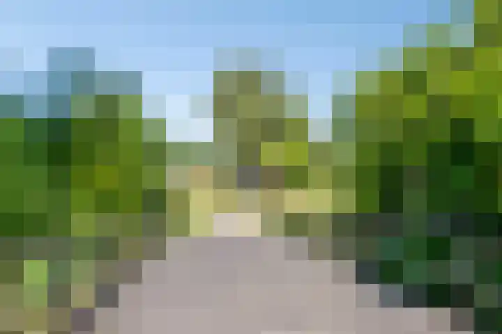 De Vroente 128 Nuenen thumbnail 48