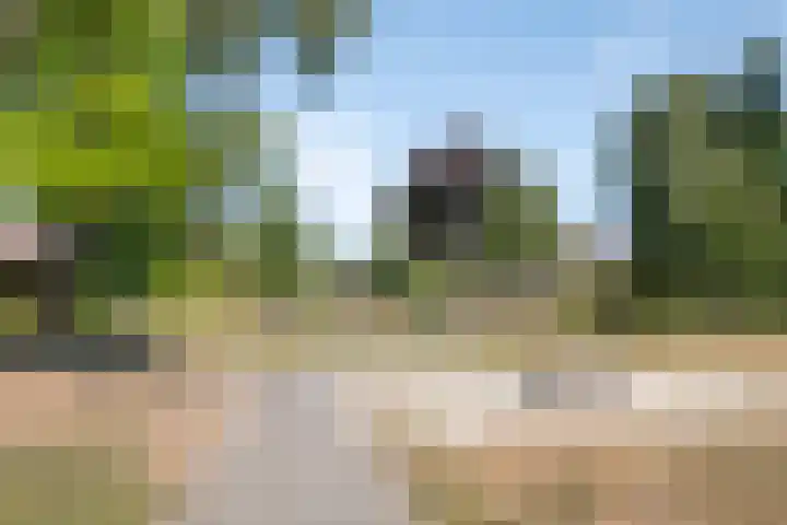 De Vroente 128 Nuenen thumbnail 50