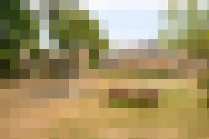 De Vroente 128 Nuenen thumbnail 51