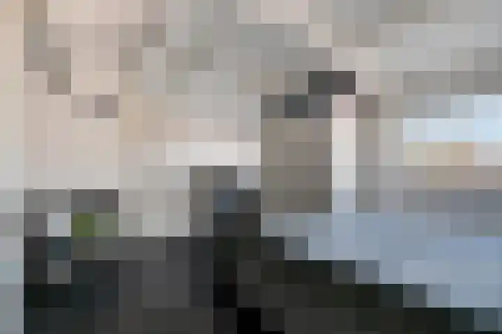 De Vroente 160 Nuenen thumbnail 18