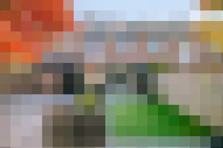 De Vroente 160 Nuenen thumbnail 19