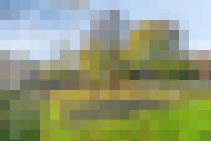 De Vroente 160 Nuenen thumbnail 22