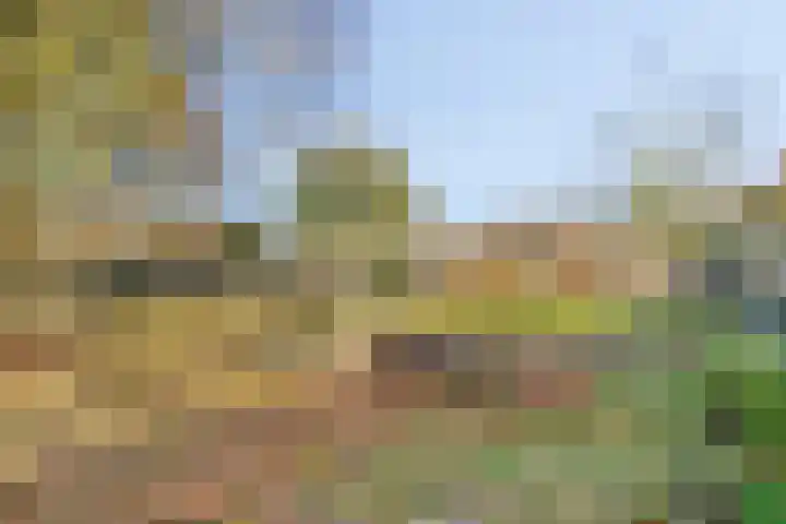 De Vroente 160 Nuenen thumbnail 23