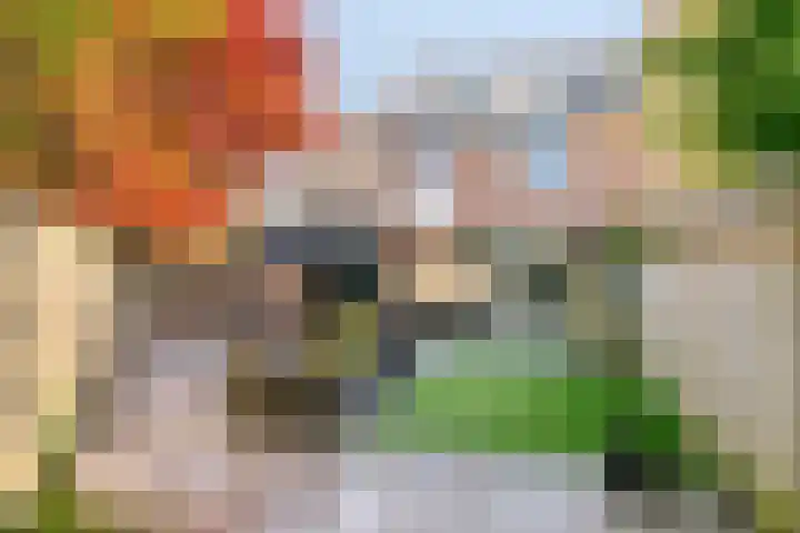 De Vroente 160 Nuenen thumbnail 4