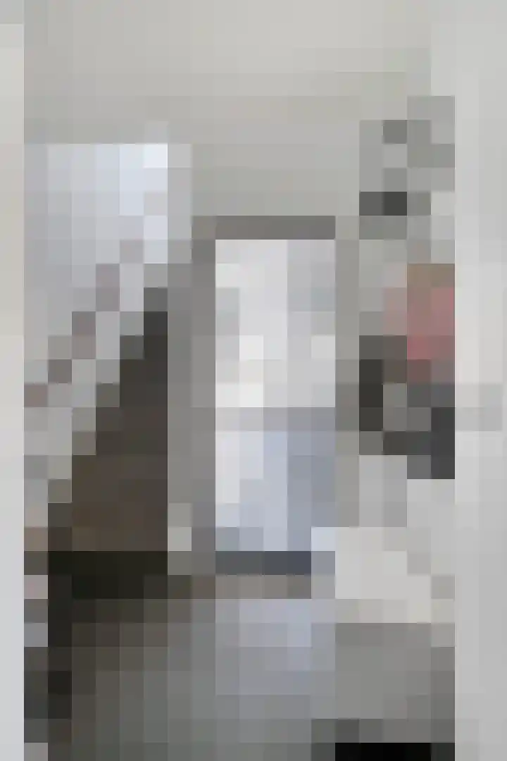 De Vroente 160 Nuenen thumbnail 5