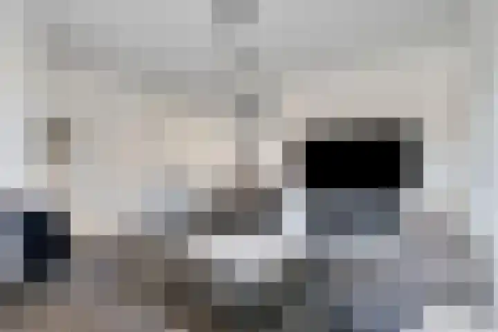 De Vroente 160 Nuenen thumbnail 7