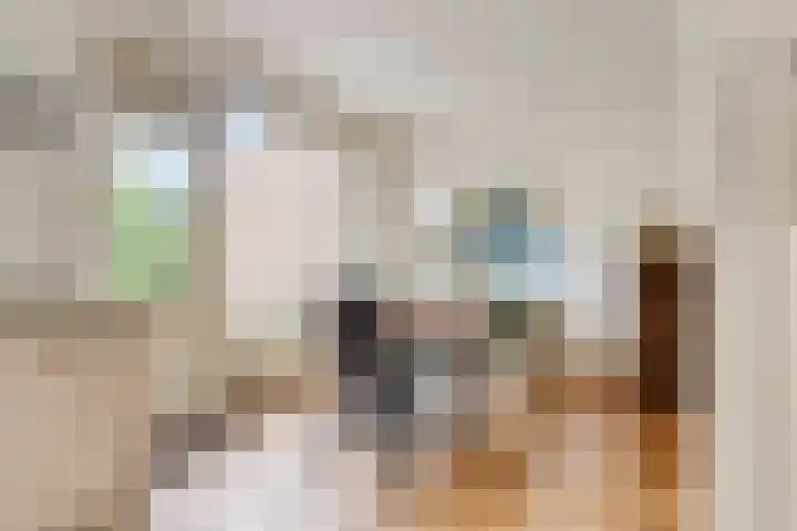 De Vroente 166 Nuenen thumbnail 13