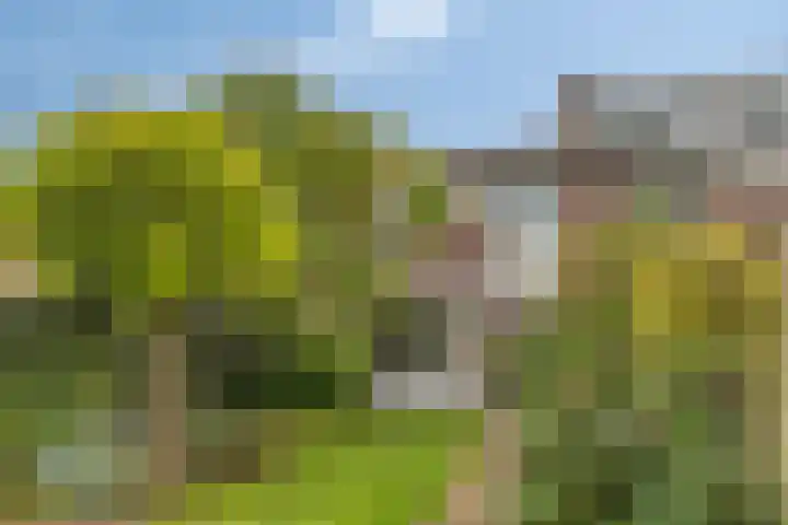 De Vroente 166 Nuenen thumbnail 14
