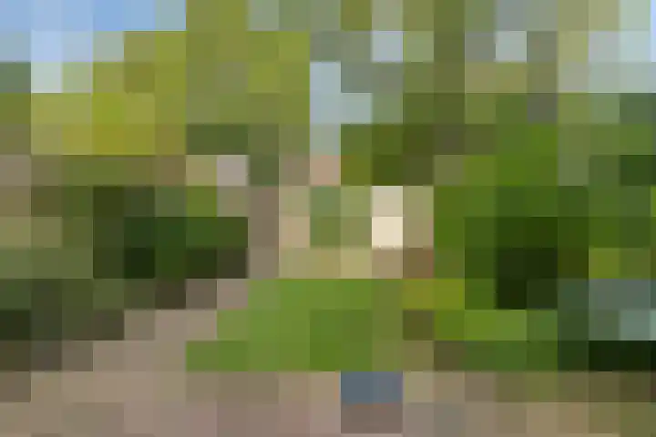 De Vroente 166 Nuenen thumbnail 15