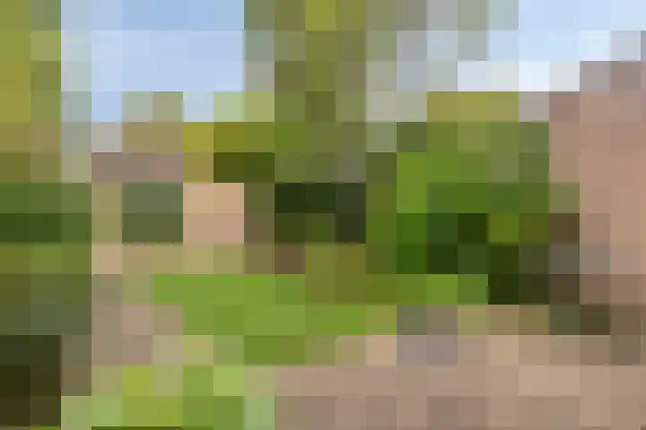 De Vroente 166 Nuenen thumbnail 16