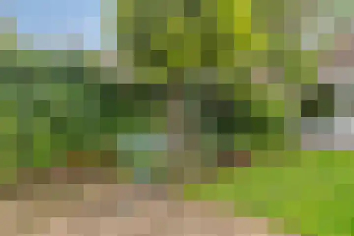 De Vroente 166 Nuenen thumbnail 17