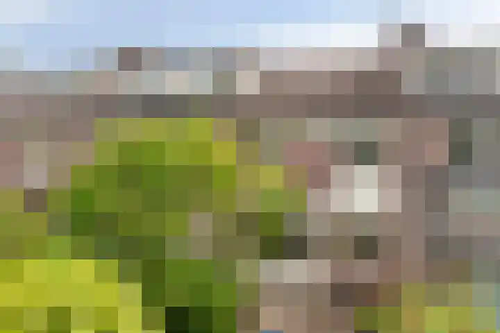 De Vroente 166 Nuenen thumbnail 18
