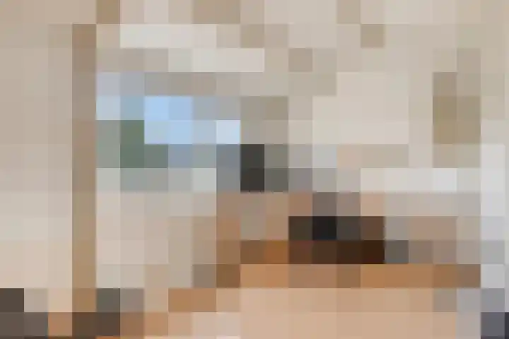 De Vroente 166 Nuenen thumbnail 28