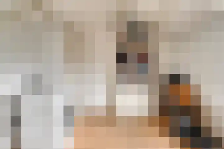 De Vroente 166 Nuenen thumbnail 29