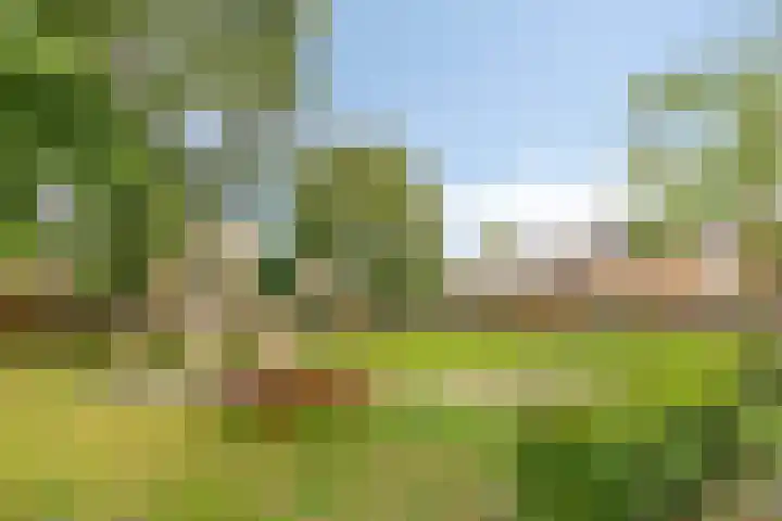 De Vroente 166 Nuenen thumbnail 30