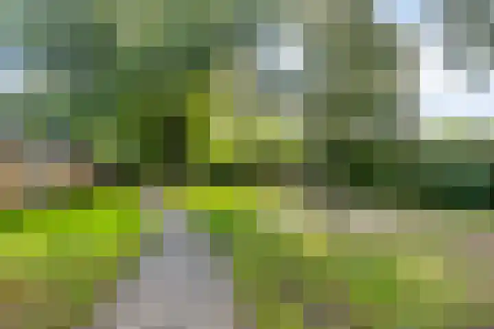 De Vroente 166 Nuenen thumbnail 31