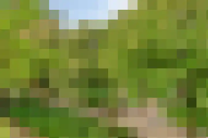 De Vroente 166 Nuenen thumbnail 32
