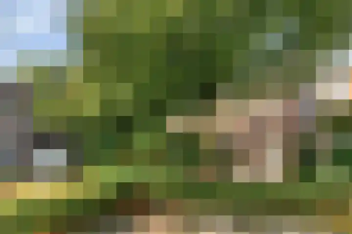 De Vroente 166 Nuenen thumbnail 4