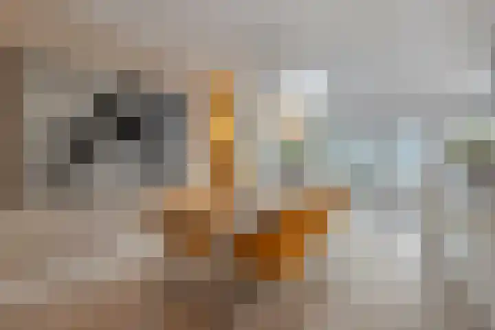 De Vroente 168 Nuenen thumbnail 12