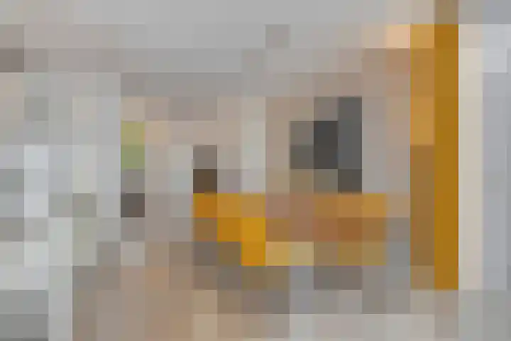 De Vroente 168 Nuenen thumbnail 13