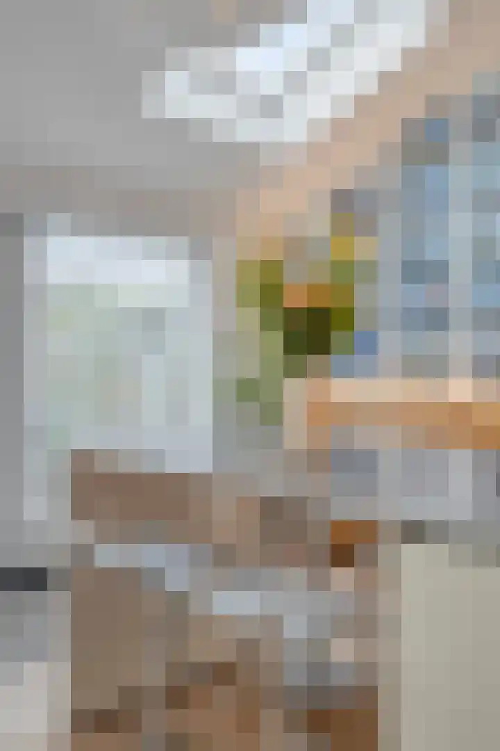 De Vroente 168 Nuenen thumbnail 16